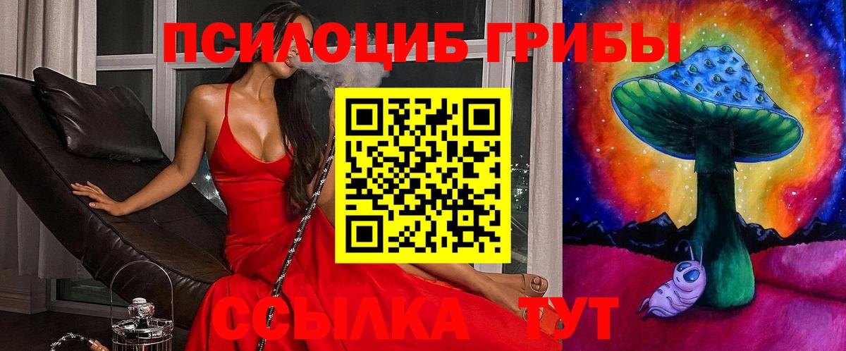 Галлюциногенные грибы GOLDEN TEACHER  Вход с VPN  Выборг  Галлюциногенные грибы ЛСД 
