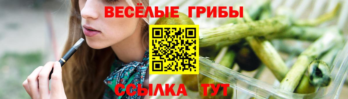 Галлюциногенные грибы ЛСД Выборг